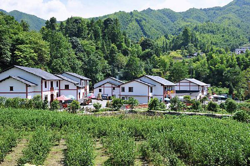 神山村