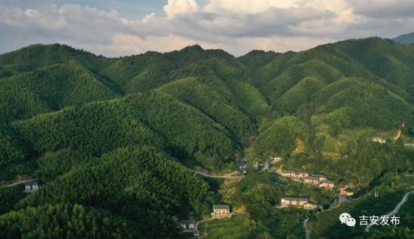 江西省井岡山市神山村一景