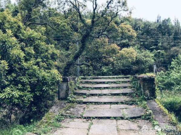 井岡山荷花鄉