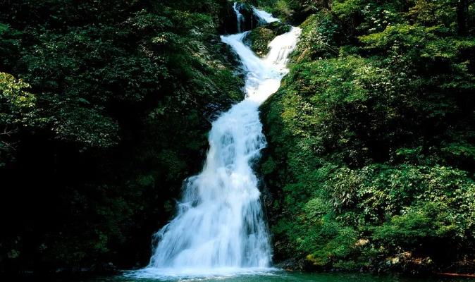 喜訊！井岡山獲評“中國天然氧吧”稱號！