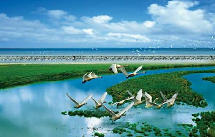 鄱陽湖