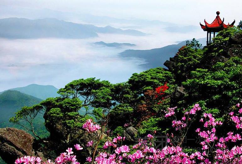 陽明山國家森林公園