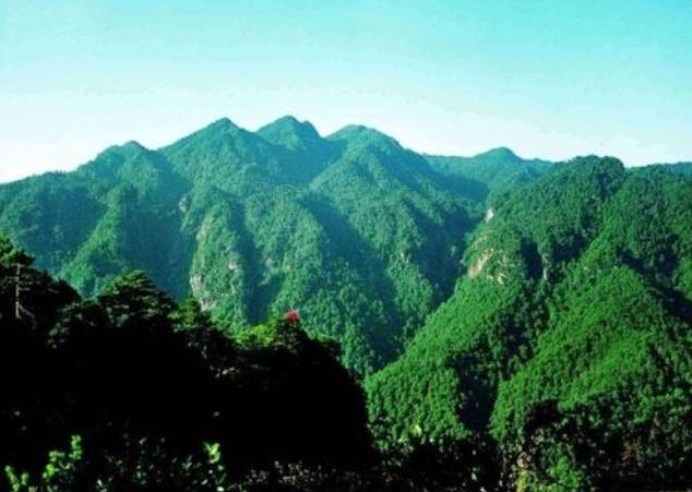 2020井岡山旅游感言精選