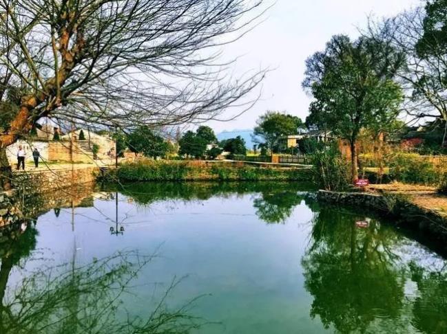 湘韻湘情