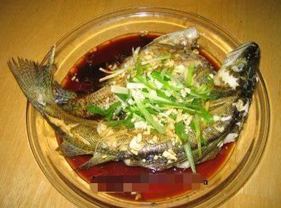 瀘溪活魚