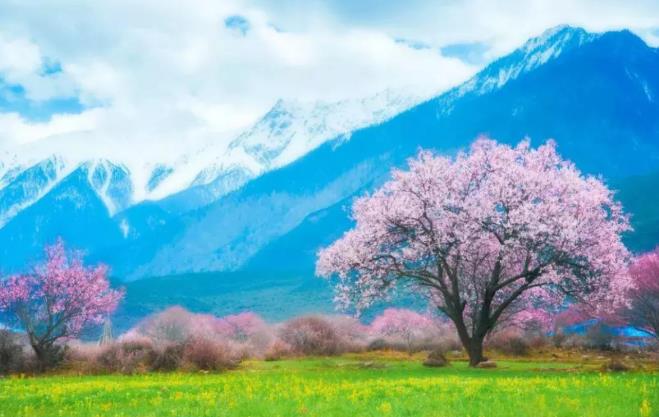 稻城