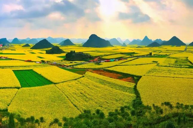 旅游風光