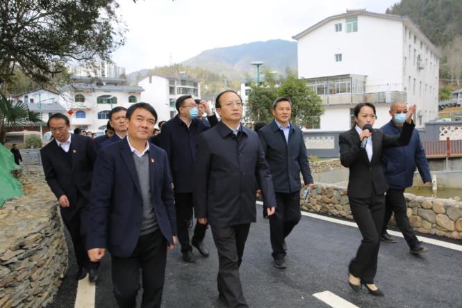 廖東生市長等井岡山領導陪同王書記視察半畝方塘度假村