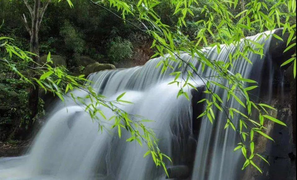 源頭活水