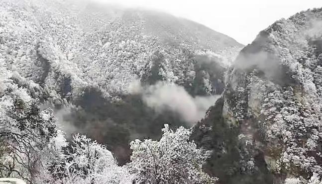 井岡山雪景