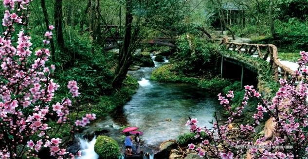 井岡山水景