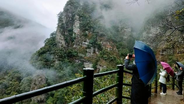 井岡山山景