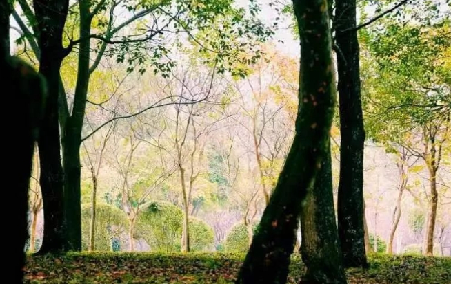井岡山的秋天