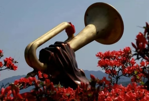 江西杜鵑盛放，探秘高山花海絕美景觀｜暮春賞花指南