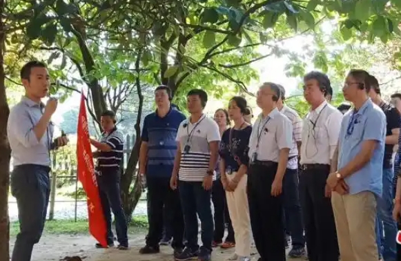外企員工適應井岡山紅色團建嗎？ 外企井岡山團建指南